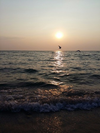 У мыса Тарханкут.